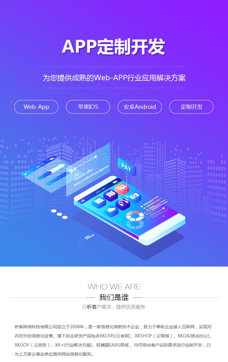 互联网解决方案上市公司的现状与挑战
